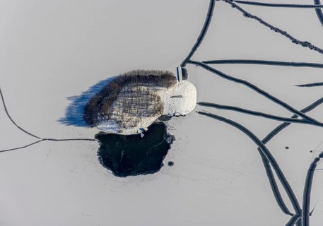 Aerial view, snow-covered island with trees in Phoenix Lake, Hörde, Dortmund, Ruhr area, North