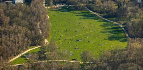 Aerial view, the Tremoniapark a large playground and sunbathing lawn, spring weather on Dortmund's