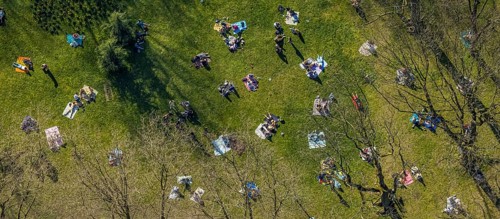 Aerial view, lawns in Westpark, spring weather on Dortmund's lawns, Dortmund, Ruhr area, North