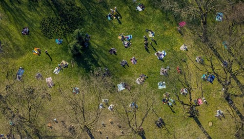 Aerial view, lawns in Westpark, spring weather on Dortmund's lawns, Dortmund, Ruhr area, North