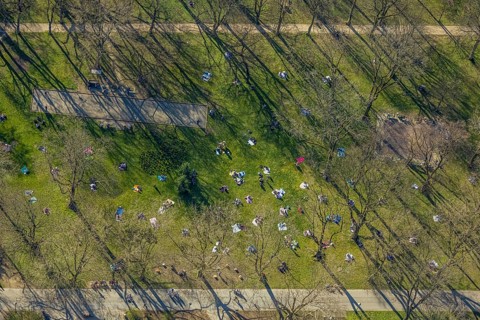 Aerial view, lawns in Westpark, spring weather on Dortmund's lawns, Dortmund, Ruhr area, North