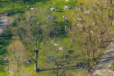 Aerial view, lawns in Westpark, spring weather on Dortmund's lawns, Dortmund, Ruhr area, North