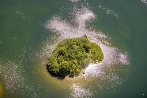 Aerial view, Phoenix Lake, island in the lake, Hörde, Dortmund, Ruhr area, North Rhine-Westphalia,