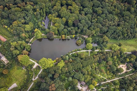 Aerial view, Rombergpark with lake in the district Hörde in Dortmund, Ruhr area, North