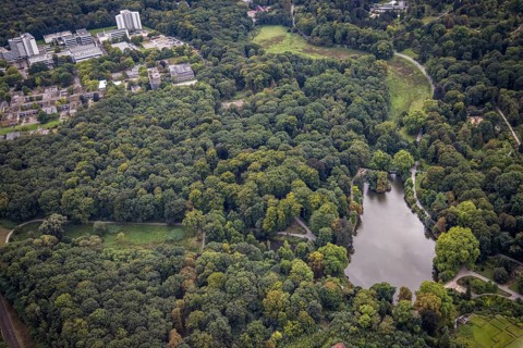 Aerial view, Rombergpark with lake in the district Hörde in Dortmund, Ruhr area, North