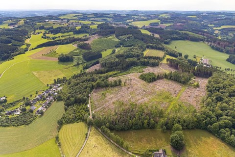 Aerial view, forest area with forest damage in Heimicke, Drolshagen, Sauerland, North
