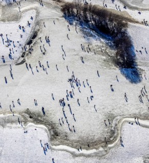 Aerial view, ice rink, ice skaters and pedestrians on frozen Rhine meadow in Lörrick near the