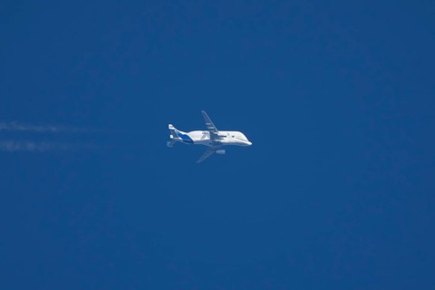 Airbus A300-600ST Super Transporter or Beluga aircraft in flight in a blue sky with vapour trails