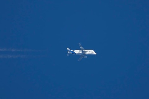 Airbus A300-600ST Super Transporter or Beluga aircraft in flight in a blue sky with vapour trails