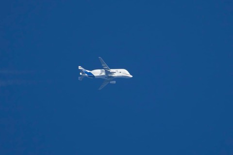 Airbus A300-600ST Super Transporter or Beluga aircraft in flight in a blue sky with vapour trails