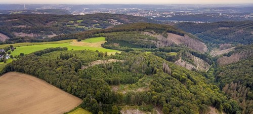 Aerial view, forest area with forest damage at the district Waldbauer Zurstraße in Breckerfeld,