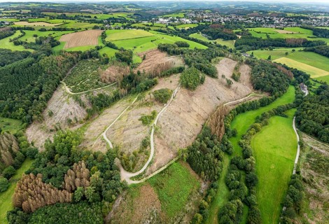 Aerial photograph, forest damage near the village of Brenscheid in Breckerfeld, Sauerland, North
