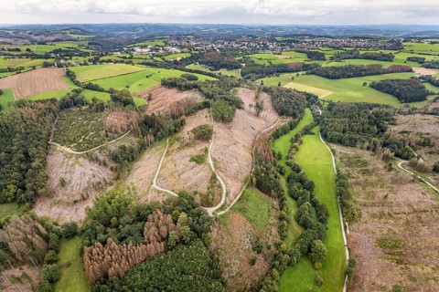 Aerial photograph, forest damage near the village of Brenscheid in Breckerfeld, Sauerland, North