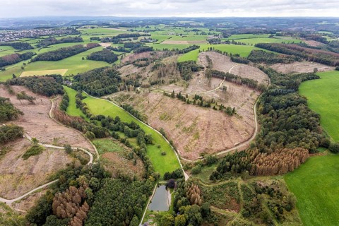 Aerial view, forest damage at the fishing ponds Angelparadies Steinbachtal in Breckerfeld,