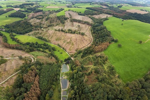 Aerial view, forest damage at the fishing ponds Angelparadies Steinbachtal in Breckerfeld,