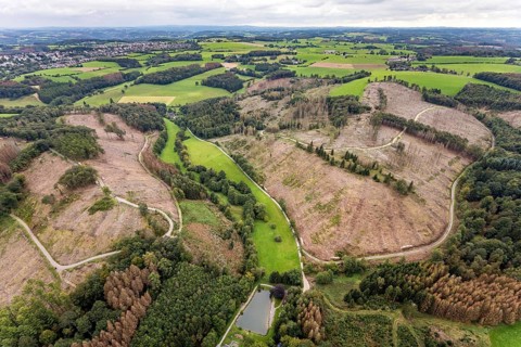 Aerial view, forest damage at the fishing ponds Angelparadies Steinbachtal in Breckerfeld,
