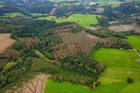 Aerial view, forest damage near the village of Boßel in Breckerfeld, Sauerland, North