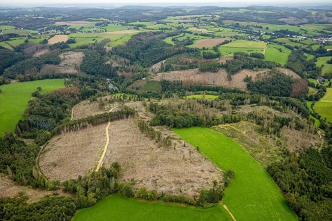 Aerial view, forest damage at Steinbachtal near the village of Boßel in Breckerfeld, Sauerland,