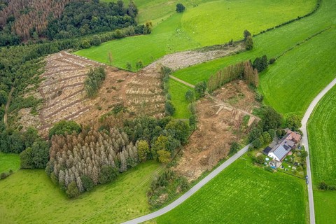 Aerial view, forest damage near the village of Boßel in Breckerfeld, Sauerland, North