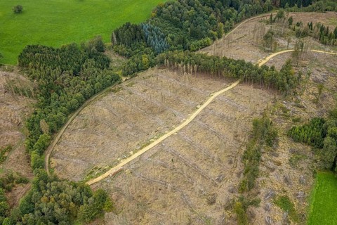 Aerial view, forest damage at Steinbachtal near the village of Boßel in Breckerfeld, Sauerland,