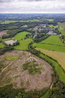 Aerial view, forest area with forest damage with view of district Waldbauer Zurstraße in