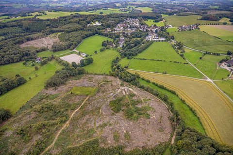 Aerial view, forest area with forest damage with view of district Waldbauer Zurstraße in