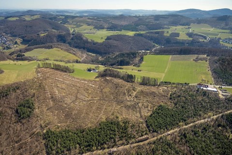 Aerial photo, forest dieback Thülener Bruch, Plattenberg, Brilon, Sauerland, North