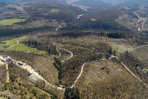 Aerial photo, Bilsteinhalde, serpentines, forest dieback, Gudenhagen, Brilon, Sauerland, North