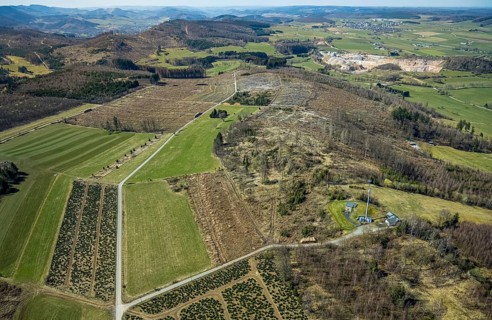Aerial view, nature reserve Poppenberg, forest dieback, hut Ski-Club Brilon, Brilon, Sauerland,