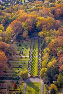 Aerial view, avenue of trees in the park cemetery in the Fuhlenbrock district of Bottrop, Ruhr