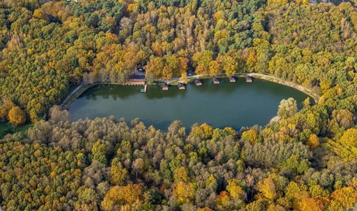 Aerial view, autumnal forest at the trout lake with fishing park Zur Grafenmühle in the district