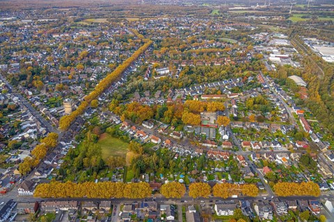 Aerial view, Autumnal rows of trees in the residential area between Scharnhölzstraße and