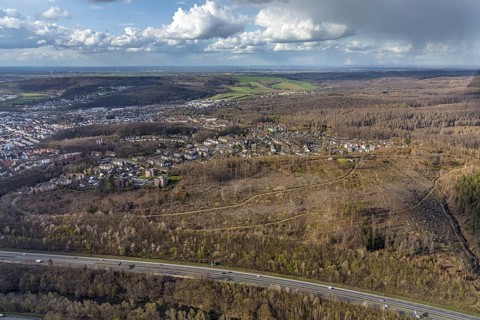 Aerial photo, forest damage on the A46 motorway at Müggenberg, Neheim, Arnsberg, Sauerland, North