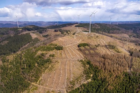 Aerial photo, wind turbines and forest damage in the Banfe forest area, Bad Laasphe, Siegerland,