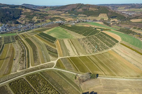 Aerial view, tree plantations, nature reserve Elpetal, meadows and fields, Heringhausen, Bestwig,