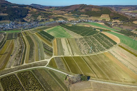 Aerial view, tree plantations, nature reserve Elpetal, meadows and fields, Heringhausen, Bestwig,
