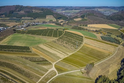 Aerial view, tree plantations, nature reserve Elpetal, meadows and fields, Heringhausen, Bestwig,