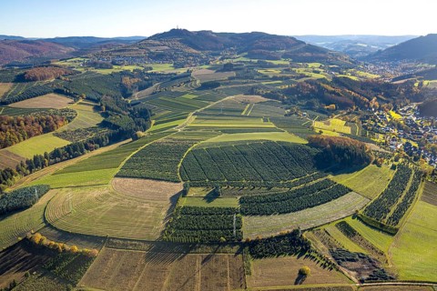 Aerial view, meadows and fields with Christmas tree cultivation at the district Heringhausen in