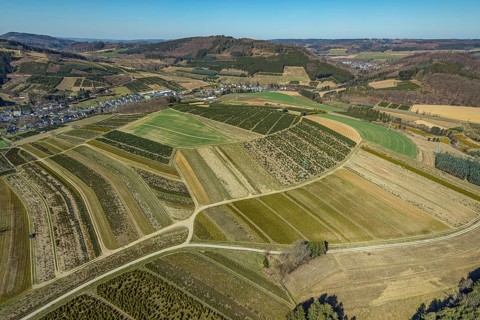Aerial view, tree plantations, nature reserve Elpetal, meadows and fields, Heringhausen, Bestwig,
