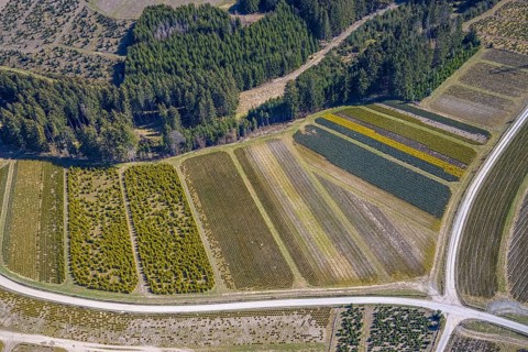 Aerial view, tree plantations, nature reserve Elpetal, meadows and fields, Heringhausen, Bestwig,
