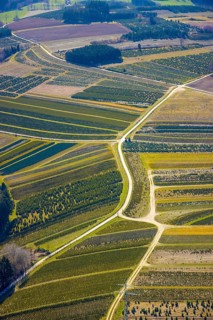 Aerial view, tree plantations, nature reserve Elpetal, meadows and fields, Gevelinghausen, Olsberg,