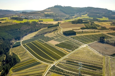 Aerial view, tree plantations, nature reserve Elpetal, meadows and fields, Gevelinghausen, Olsberg,
