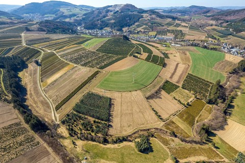 Aerial view, tree plantations, meadows and fields, Heringhausen, Bestwig, Sauerland, North