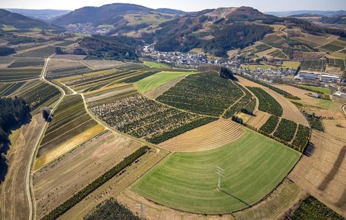 Aerial view, tree plantations, meadows and fields, Heringhausen, Bestwig, Sauerland, North