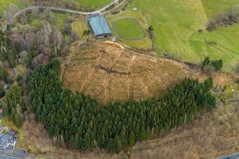 Aerial photo, forest damage in the forest area Friedwald, Saßmannshausen, Bad Laasphe, Siegerland,