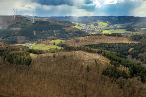 Aerial photo, forest damage in the forest area Friedwald, Saßmannshausen, Bad Laasphe, Siegerland,
