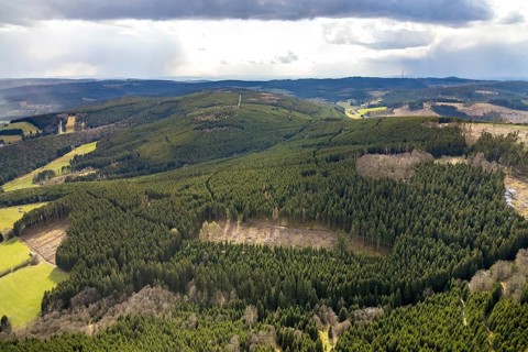 Aerial photograph, forest damage in the Holzhausen forest area, Bad Laasphe, Siegerland, North
