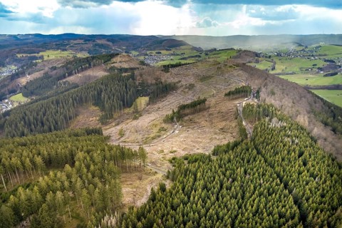 Aerial photo, forest damage in the Holzhausen forest area, Bad Laasphe, Siegerland, North