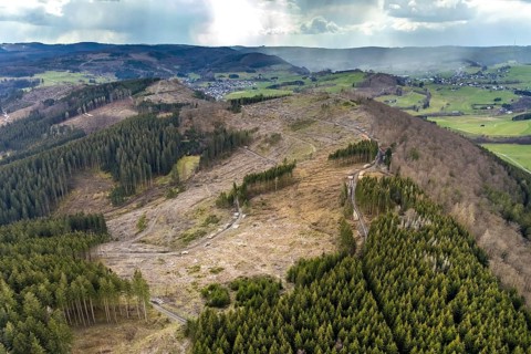 Aerial photo, forest damage in the Holzhausen forest area, Bad Laasphe, Siegerland, North