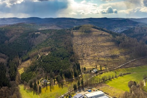 Aerial photo, forest damage in the Holzhausen forest area, Bad Laasphe, Siegerland, North